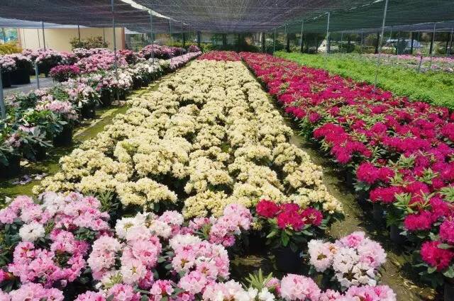 1495762372107626rX1Y.jpg 1495762372107626rX1Y.jpg